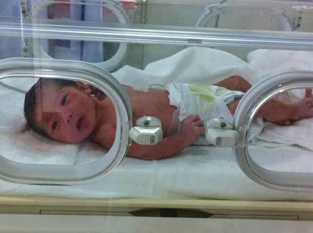 10666974_1307888191_238large