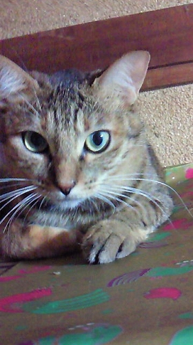 1188460_121213677_1large