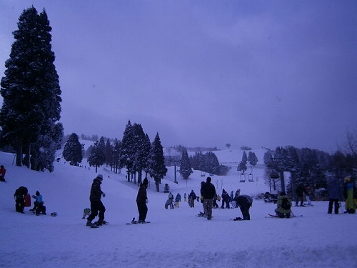 1188460_1457968442_6large