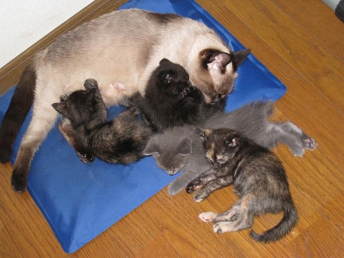 552975_153479084781184_100003572807419_204362_1473074320_n