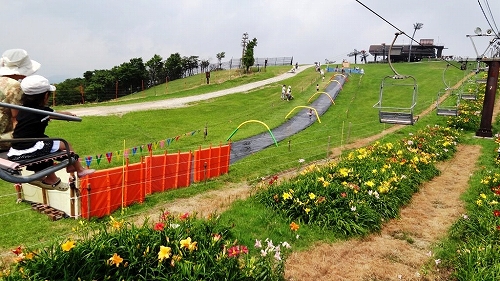 323941_478978175463018_647950102_o