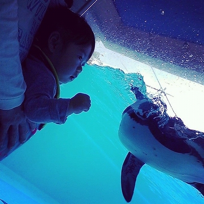 1374561_458446397607455_1683831847_n