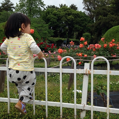 10363957_575160619269365_363011552_n