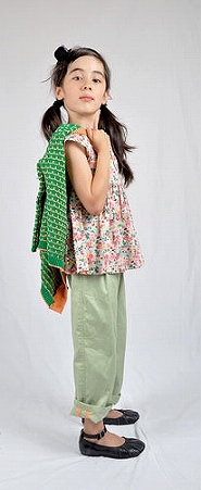 07271118_51f32dd996480