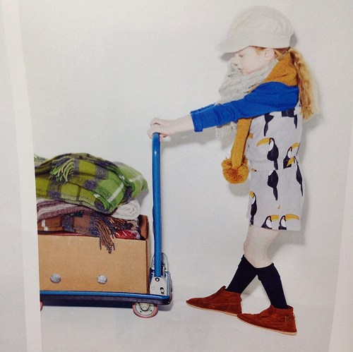 10735972_672895469495879_238758430_n