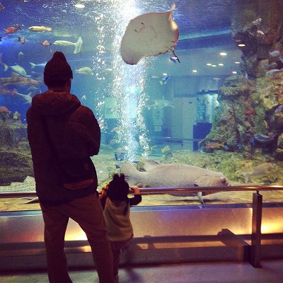 10936959_721654624619963_1893122714_o