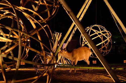 1925319_652911581503058_6297756380489514247_n