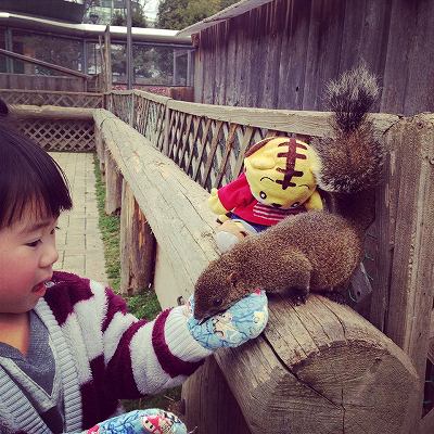 11000713_743330819119010_647302794_o