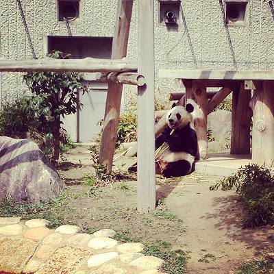 11050972_749698301815595_763339214_n