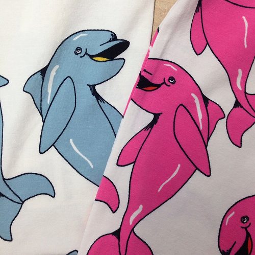 11087452_765312980254127_1937720549_o