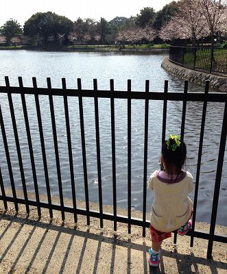 11115869_763317717120320_671356937_n