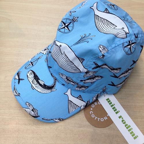 11148240_772960132822745_814375146_o