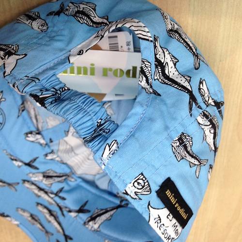 11154234_772960106156081_268656822_o