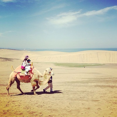 11171581_775762665875825_1922707065_o