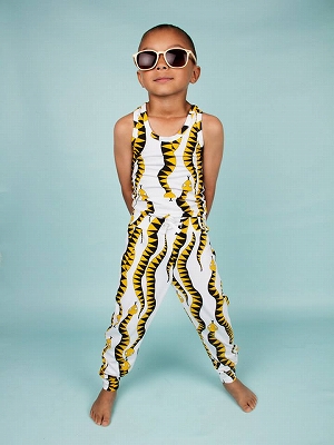 04171234_534f4bcb03c41