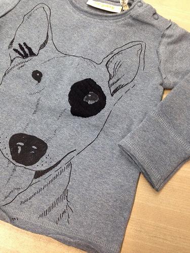 11910953_836473833138041_1240541918_n