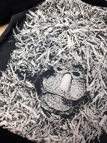 11944718_840281226090635_602701637_n