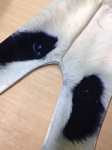 11950771_840281206090637_1855748049_n