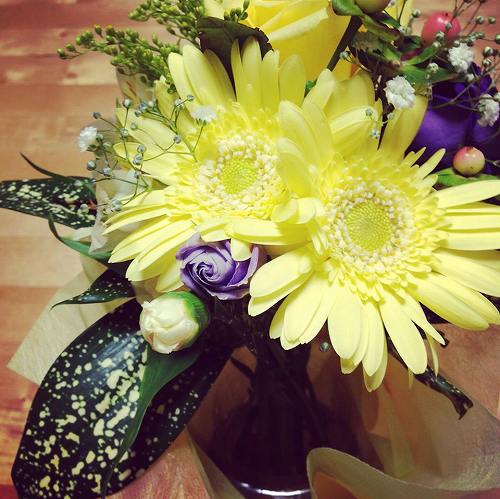 11990151_843660102419414_1498861633_o