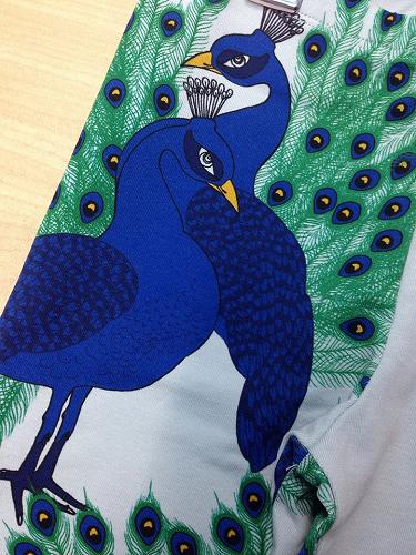 12029210_854276481357776_1324132136_n