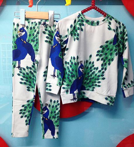 12033382_854276558024435_1108473239_n