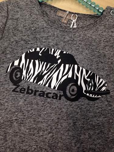 12048858_857255777726513_79136529_n