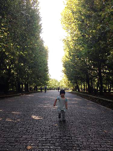 12166147_863076427144448_837353276_n