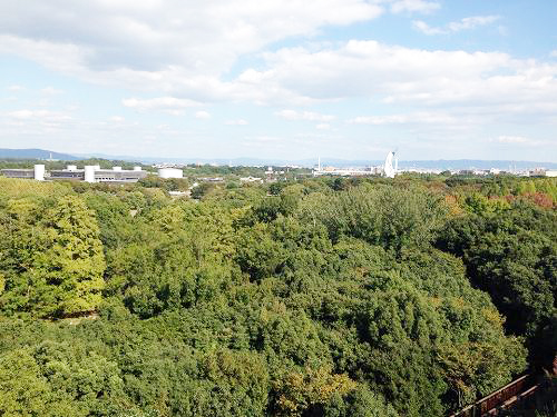 12166808_863076533811104_450223157_n