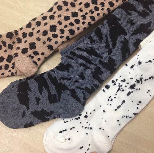 12170774_867440736708017_784855836_n