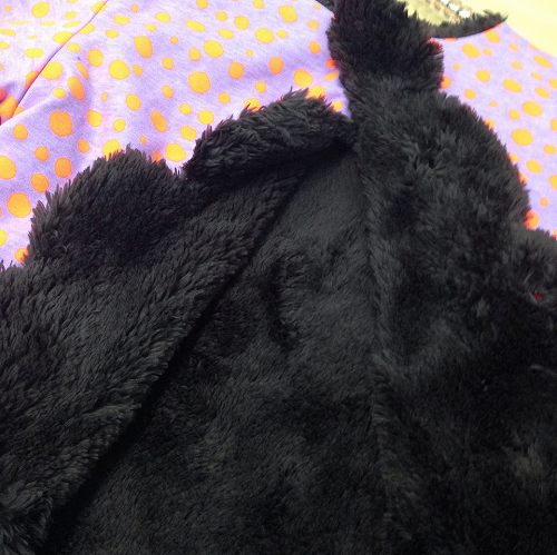 12179116_870000246452066_190083511_n