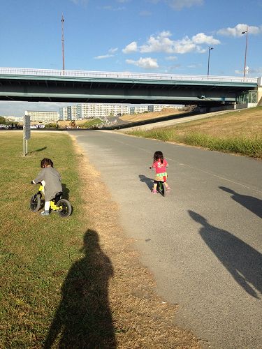 12179456_869164739868950_1725083293_n