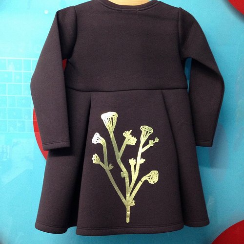 12207801_874044989380925_700482858_n