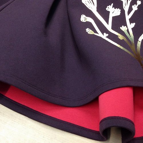 12207835_874045026047588_2007149191_n