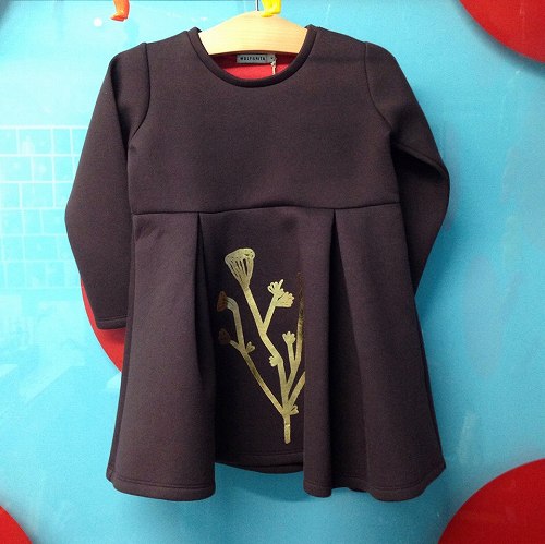 12226805_874045139380910_1113220146_n