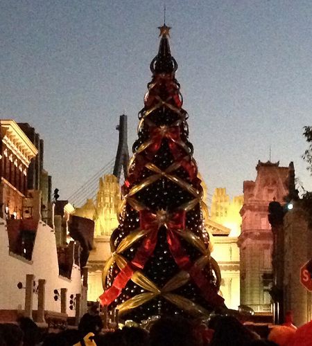 12336395_887980761320681_1542118280_n