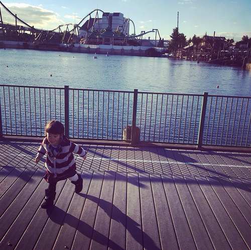 12366788_888283774623713_2024613167_n