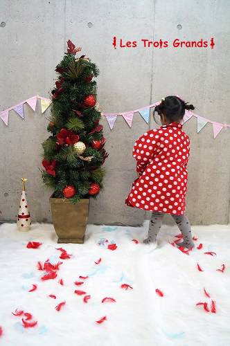 DSC02922のコピー