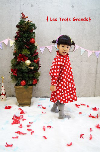 DSC02920のコピー