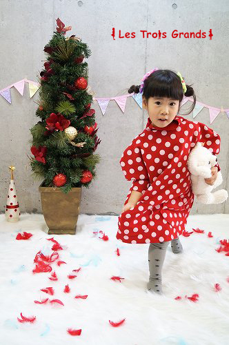 DSC02914のコピー