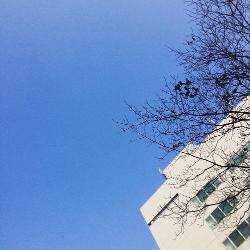 12498844_902984513153639_1095731981_n