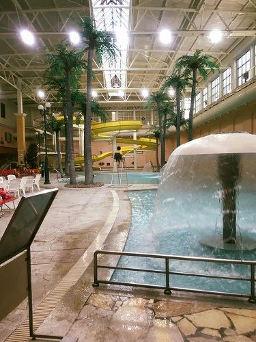 13151758_983527235099366_2245383206488175908_n