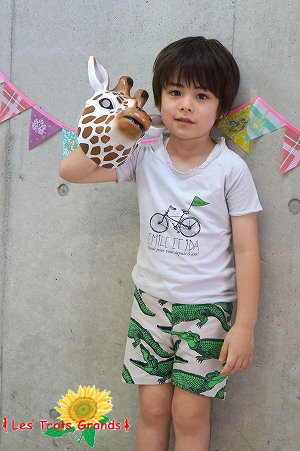 06261355_558cdb423dbd0