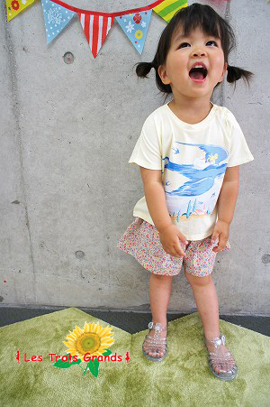 06261703_558d076fdddbf