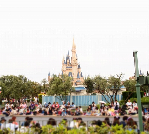 13322110_903798426413688_6312954099383805656_n