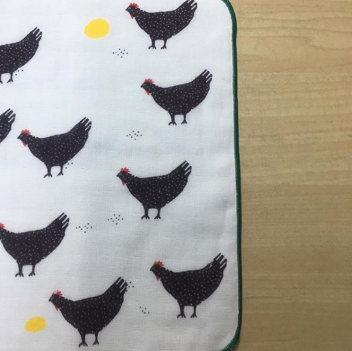 13417699_1007296679389088_7198724665025965625_n