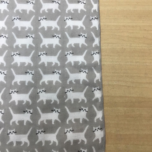 13445659_1007296736055749_8423312257727499521_n