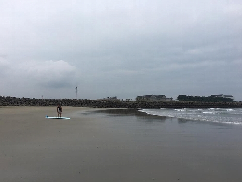 13495317_1010507062401383_53895787690928136_n