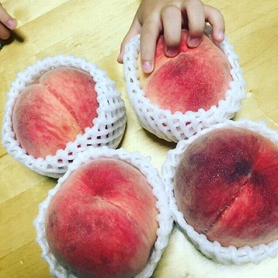 13775519_1028980473887375_6865814944434902958_n