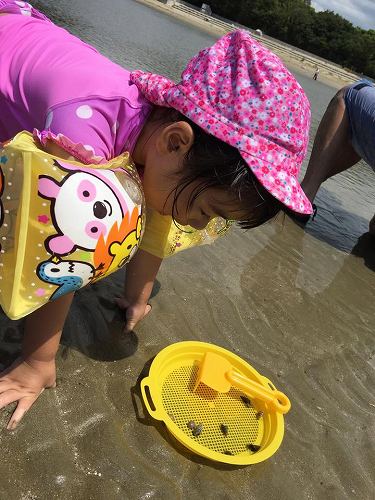 14067507_1055373761248046_287095645562867031_n