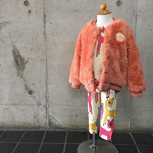 14370256_1073592199426202_5335788529533149188_n